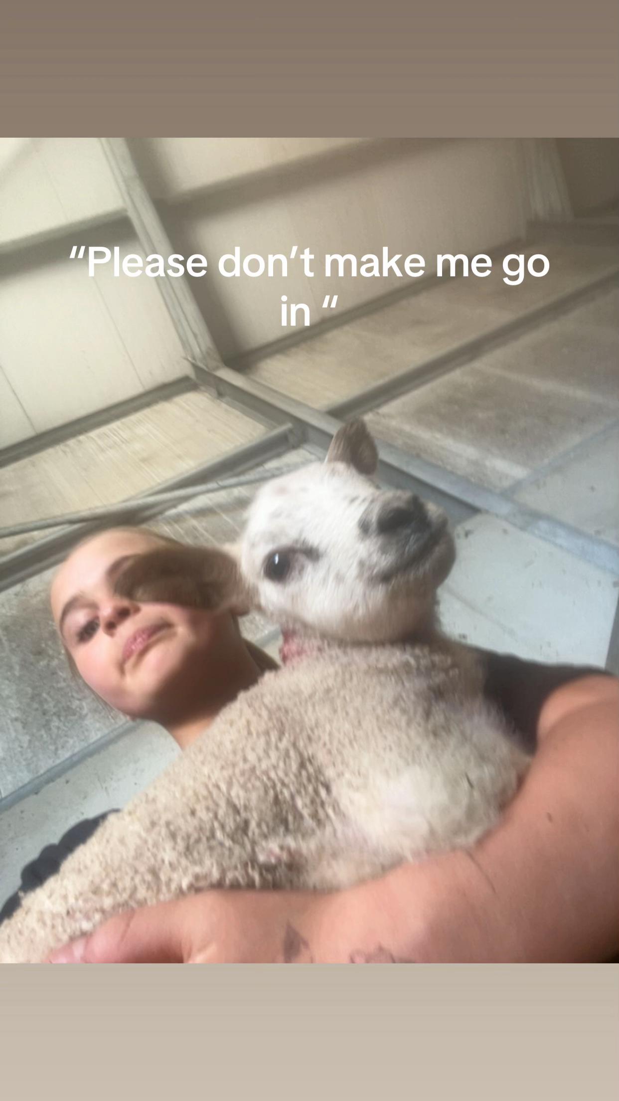 @Darcie13
