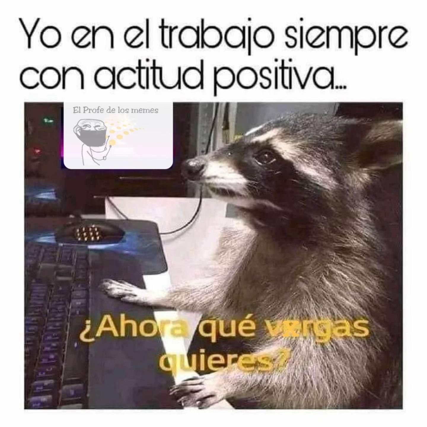 @Zuhey H.