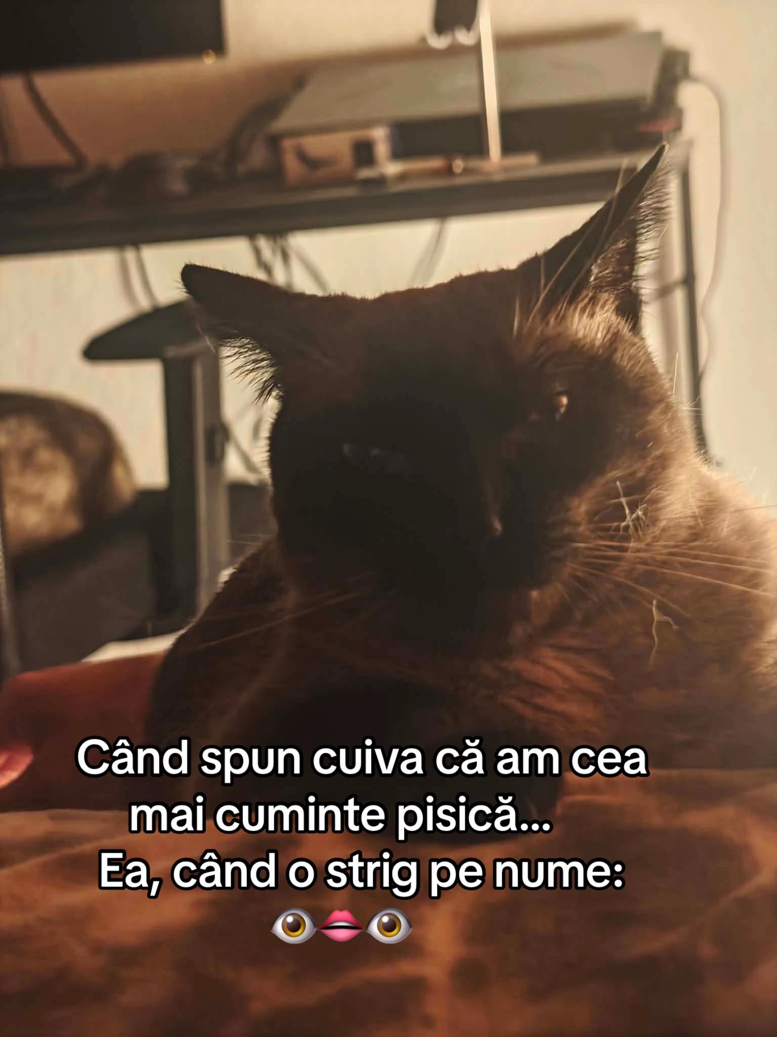 @Francesca