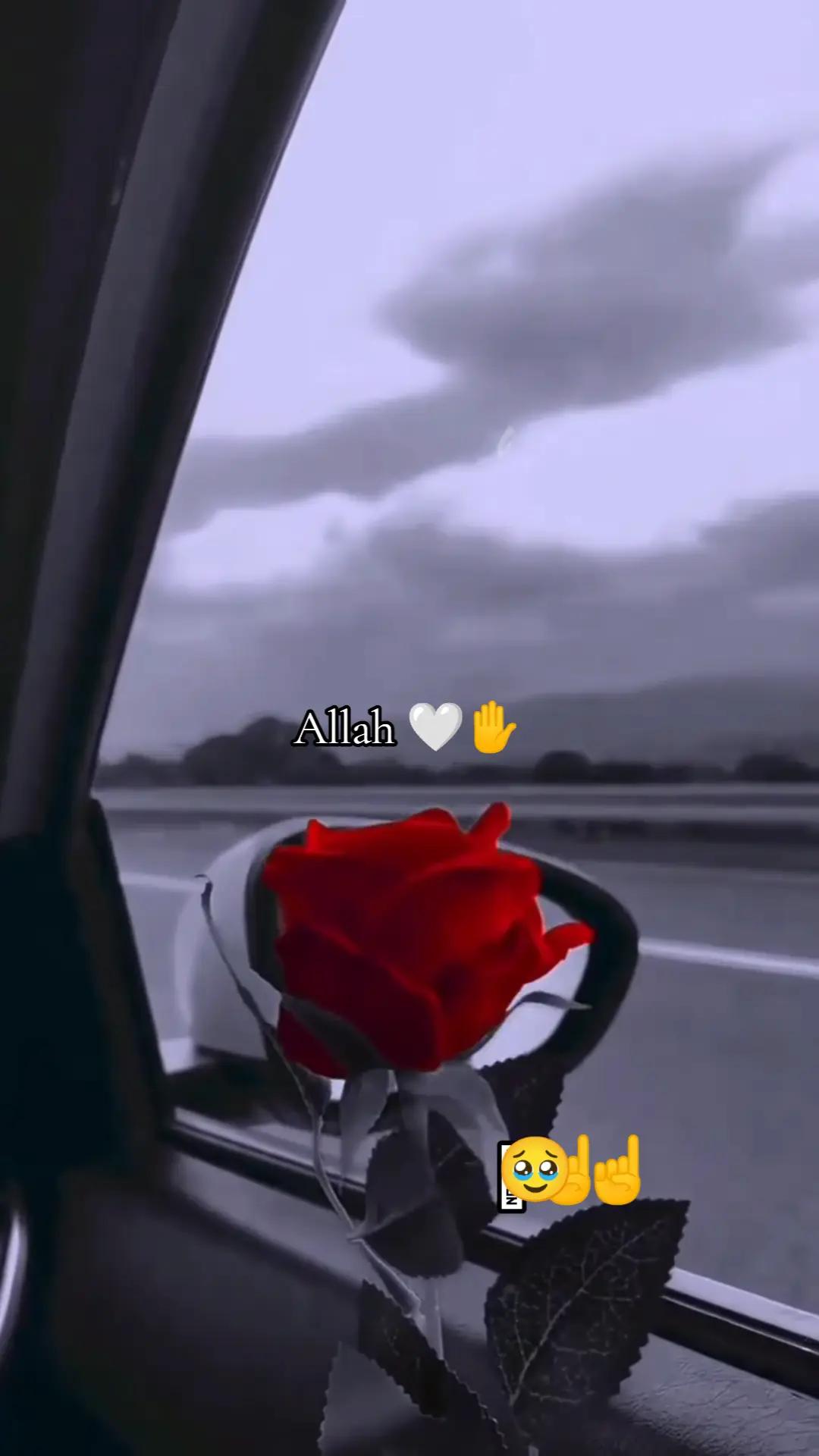 @😶&zwj;🌫️☝️أنطونيو