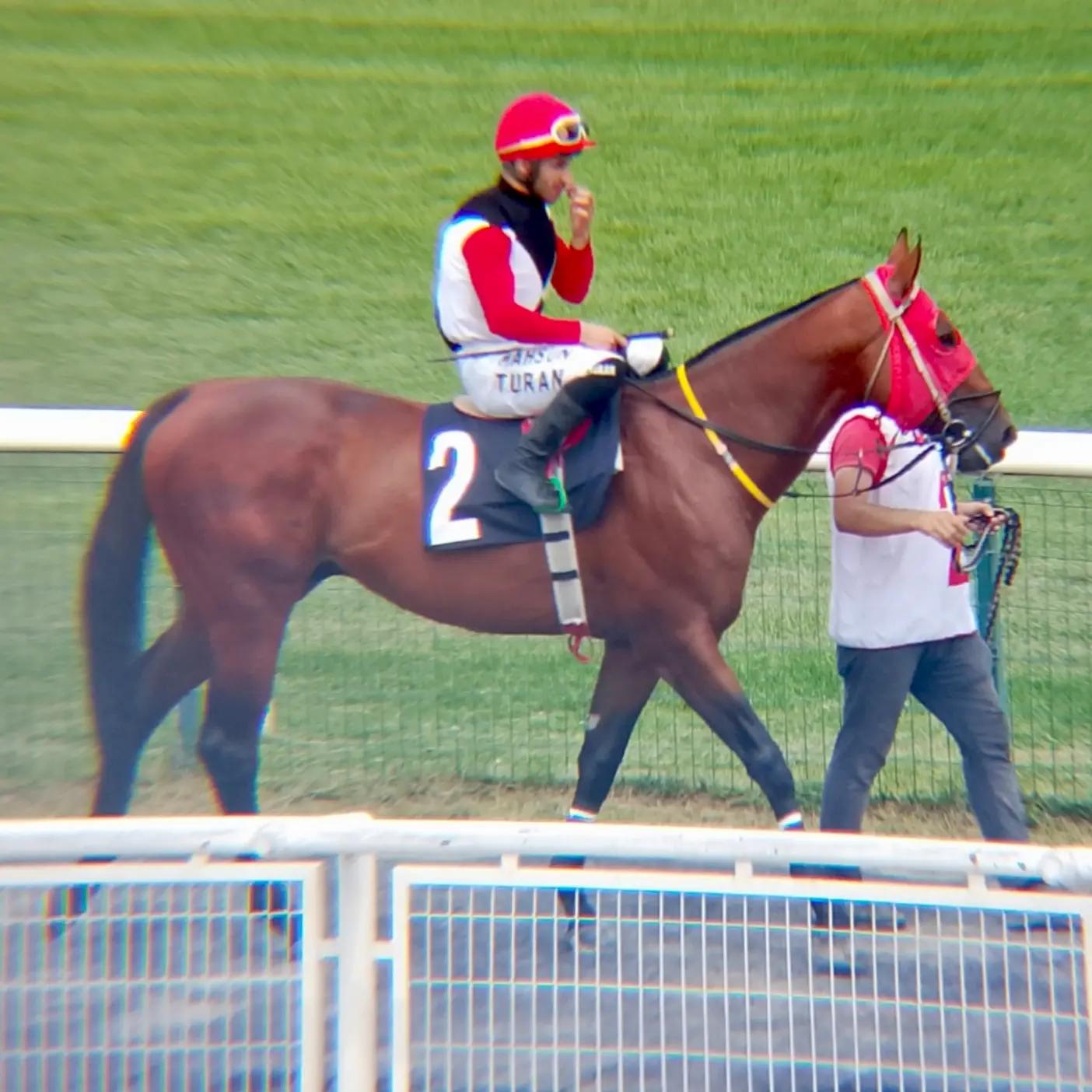 @brs horse racing