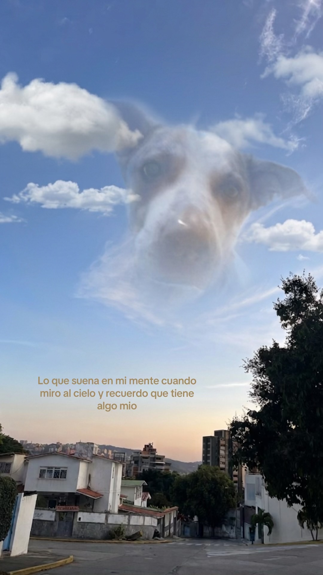 @シ