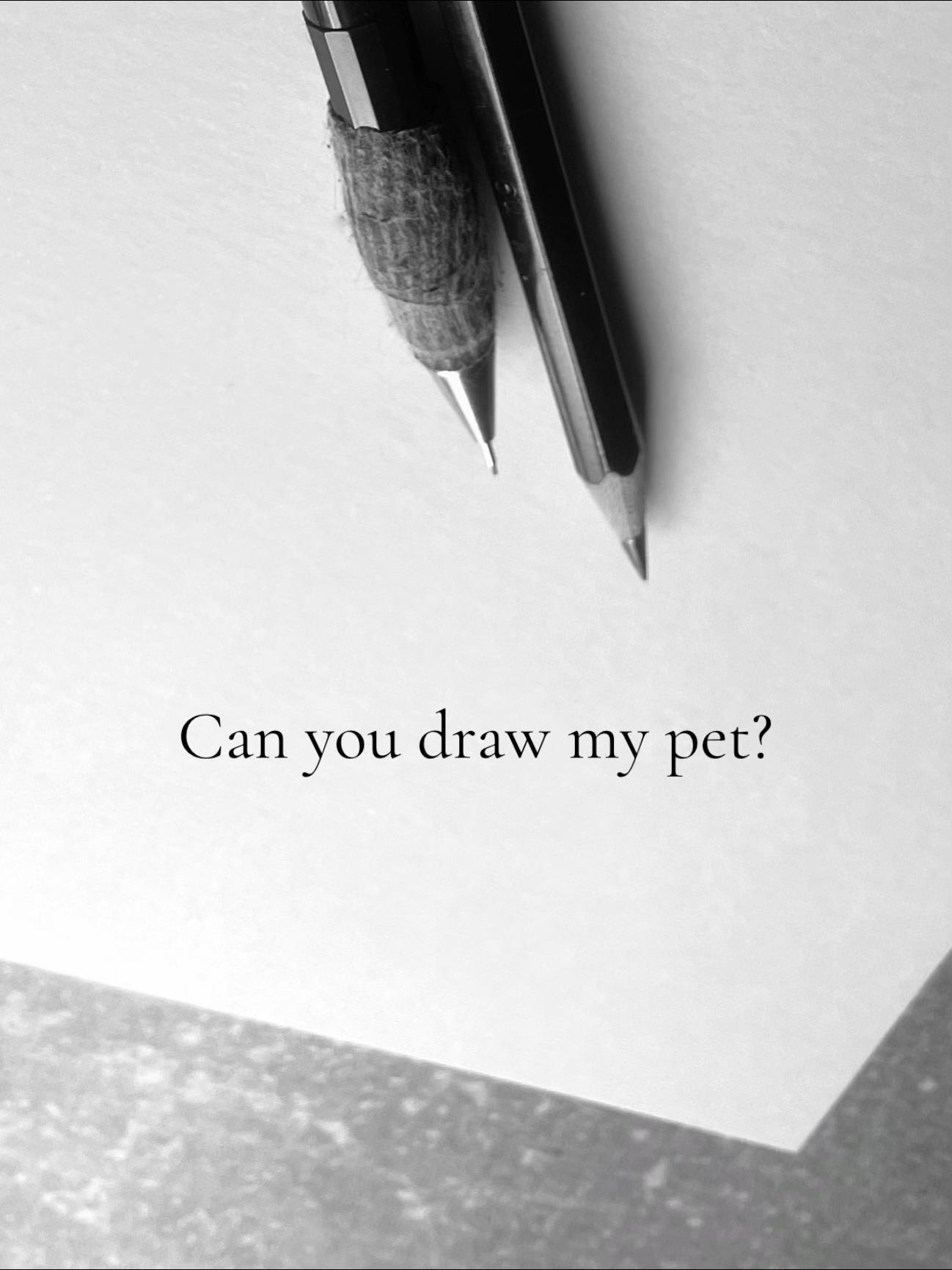 @petrakonecnaportrait