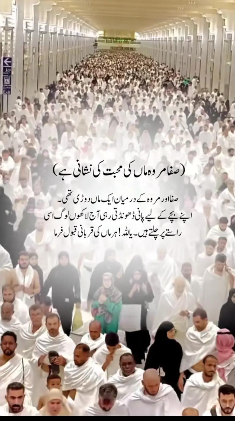 @Rao786