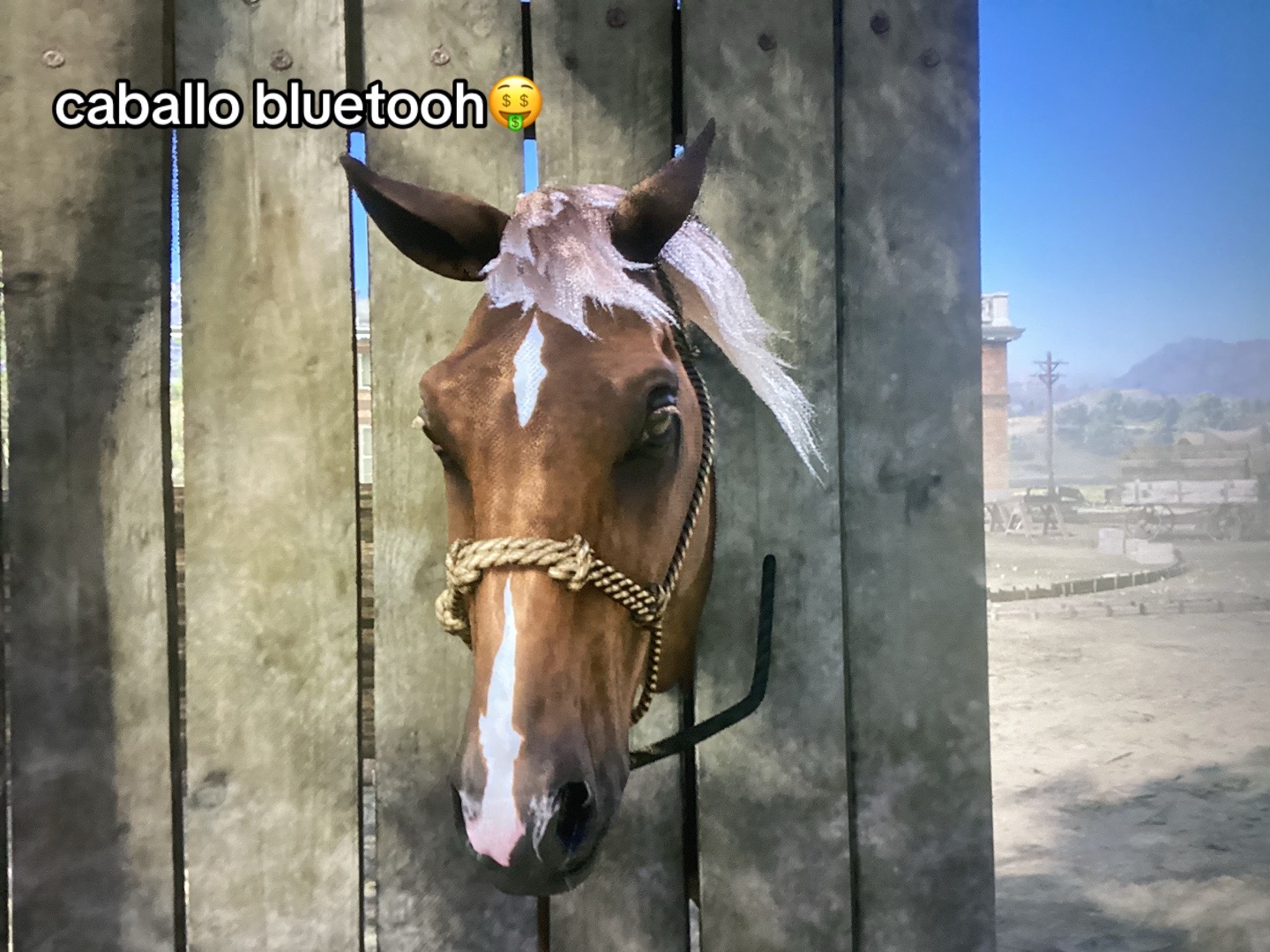 @Arthur_peluche🏹🐎