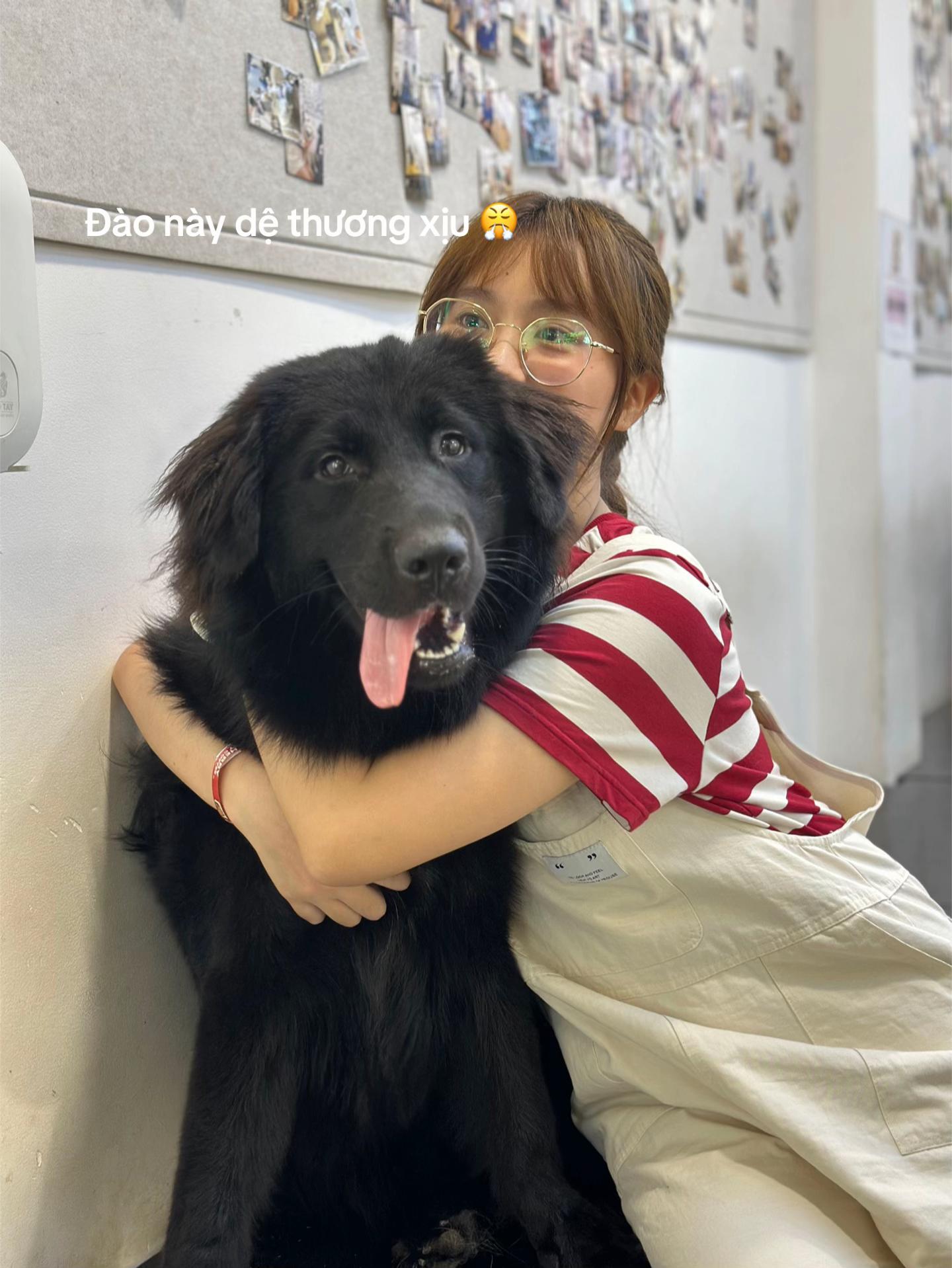 @sendituyen