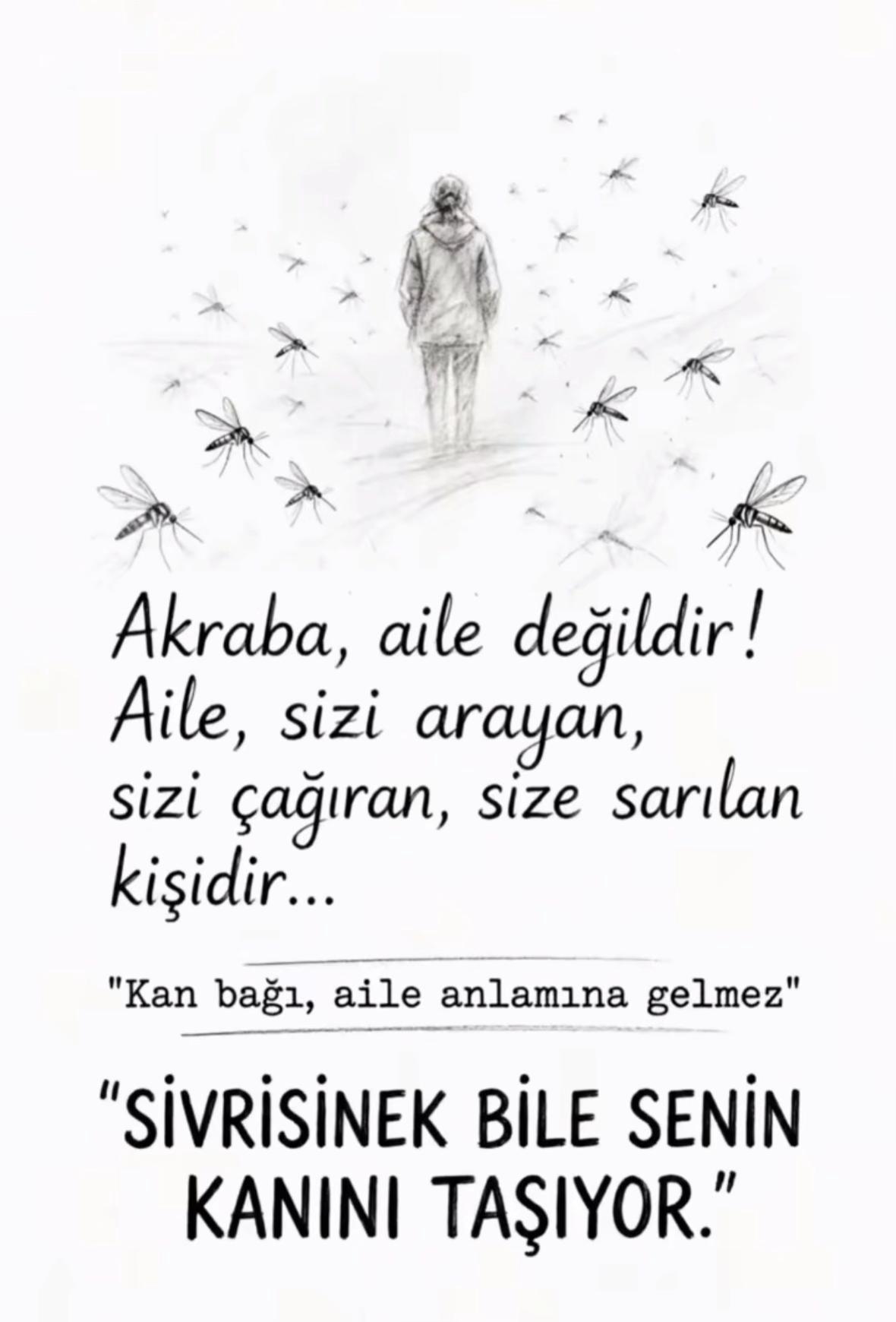 @Sürmeli