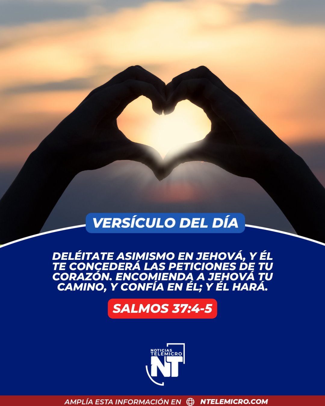 @Miguel Medina oficial