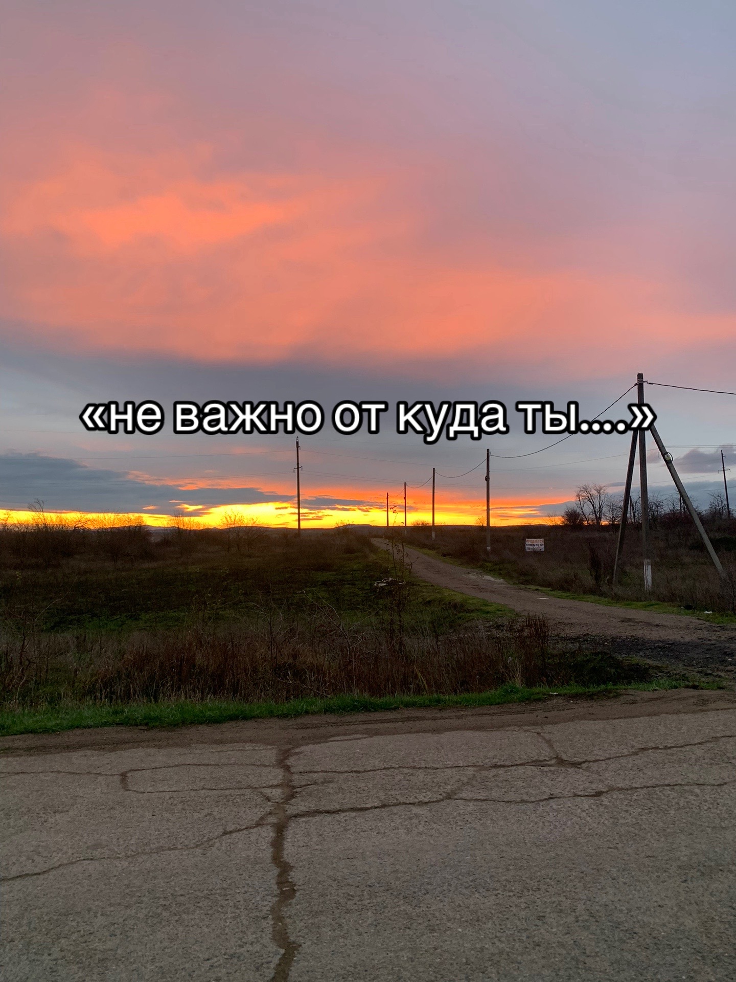 @dasha.aw