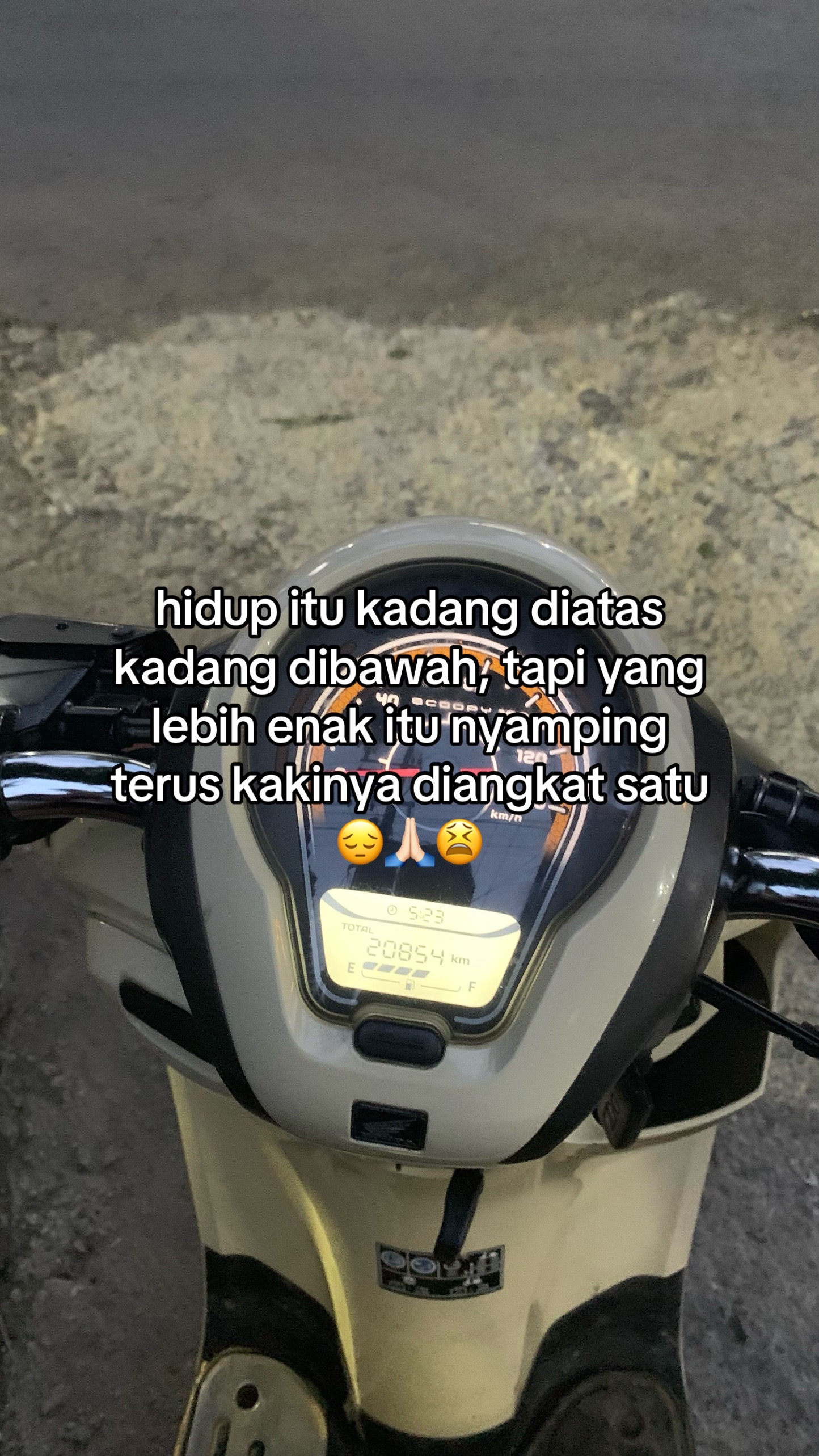 @𝙂𝙖𝙡𝙖𝙣𝙜𝙧𝙡𓂺