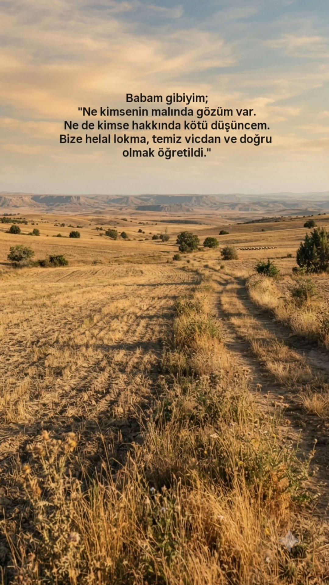 @ravzanur740