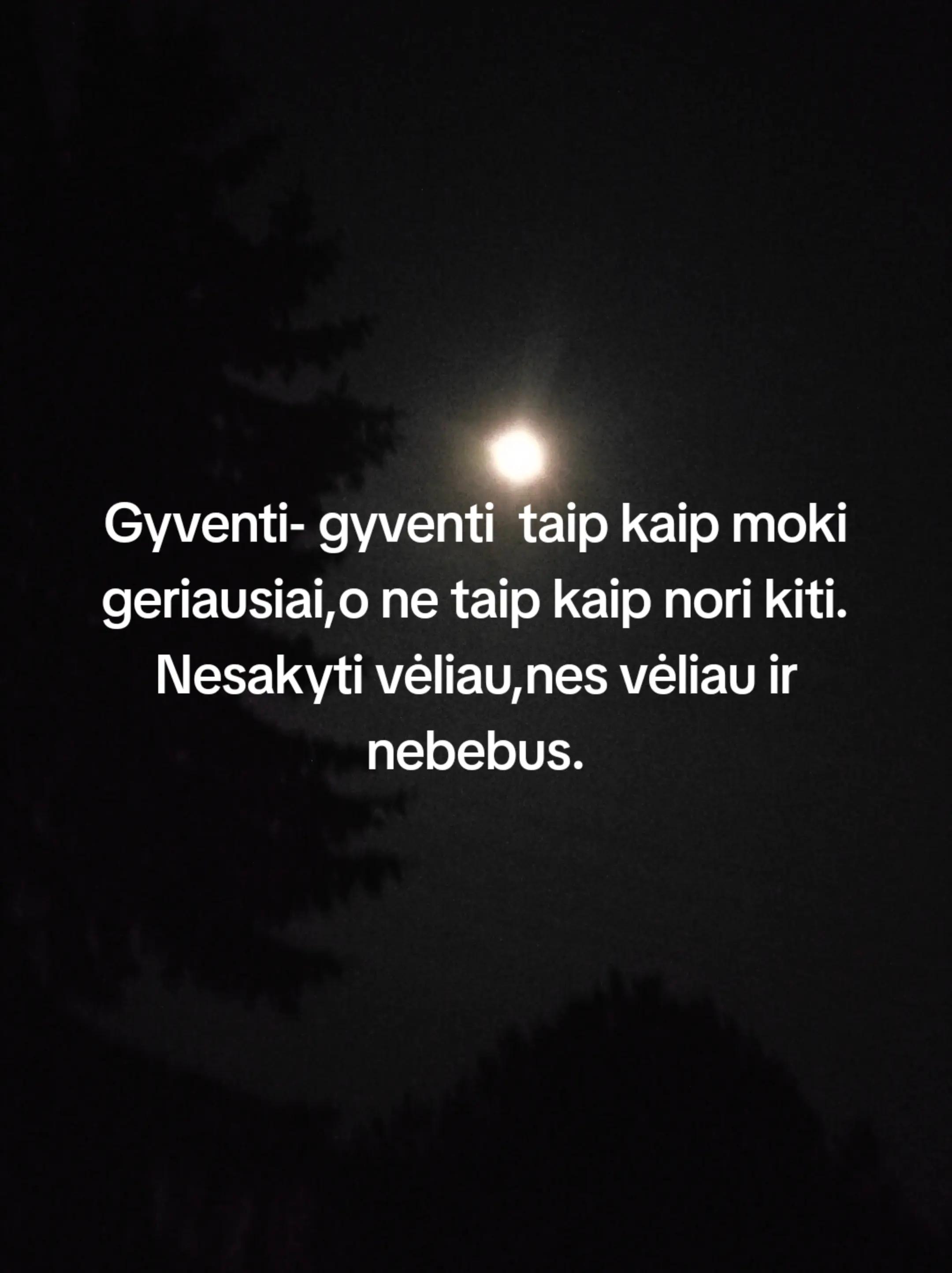 @bruklenbaunc008