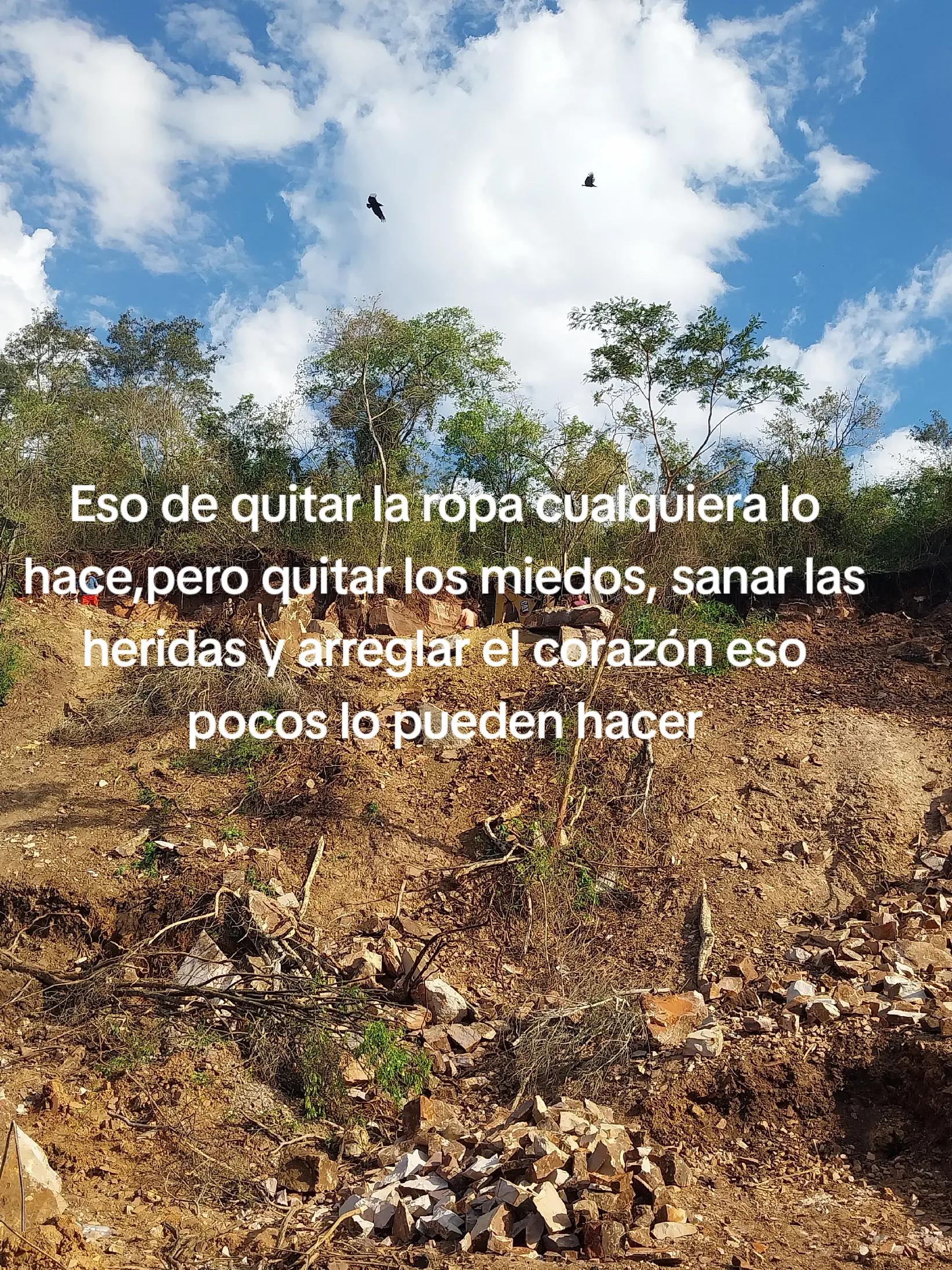 @joseii☠️