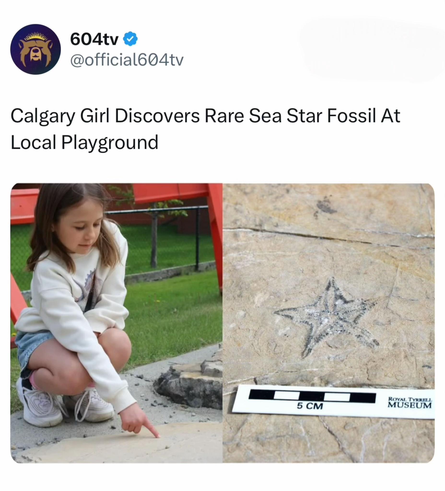 @604tv