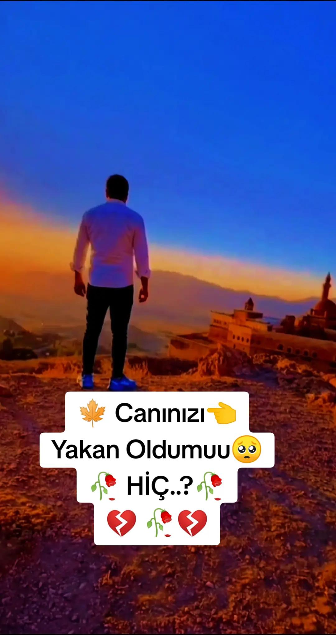 @memocan04
