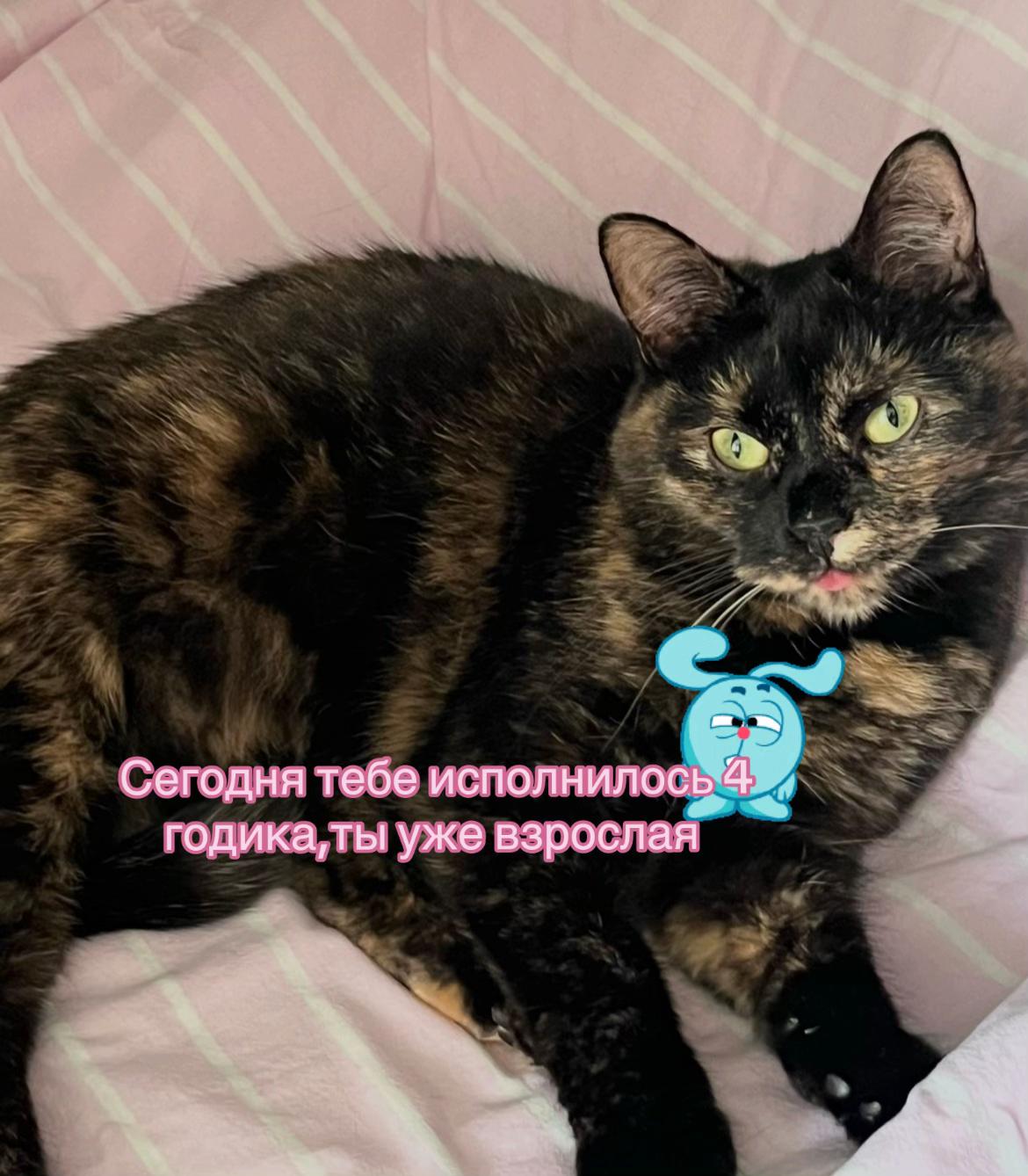 @Миланка обезьянка☝🏻😈🥵