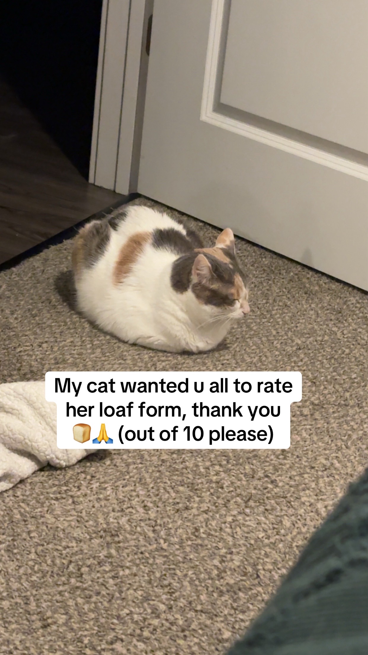@ClayGaiken