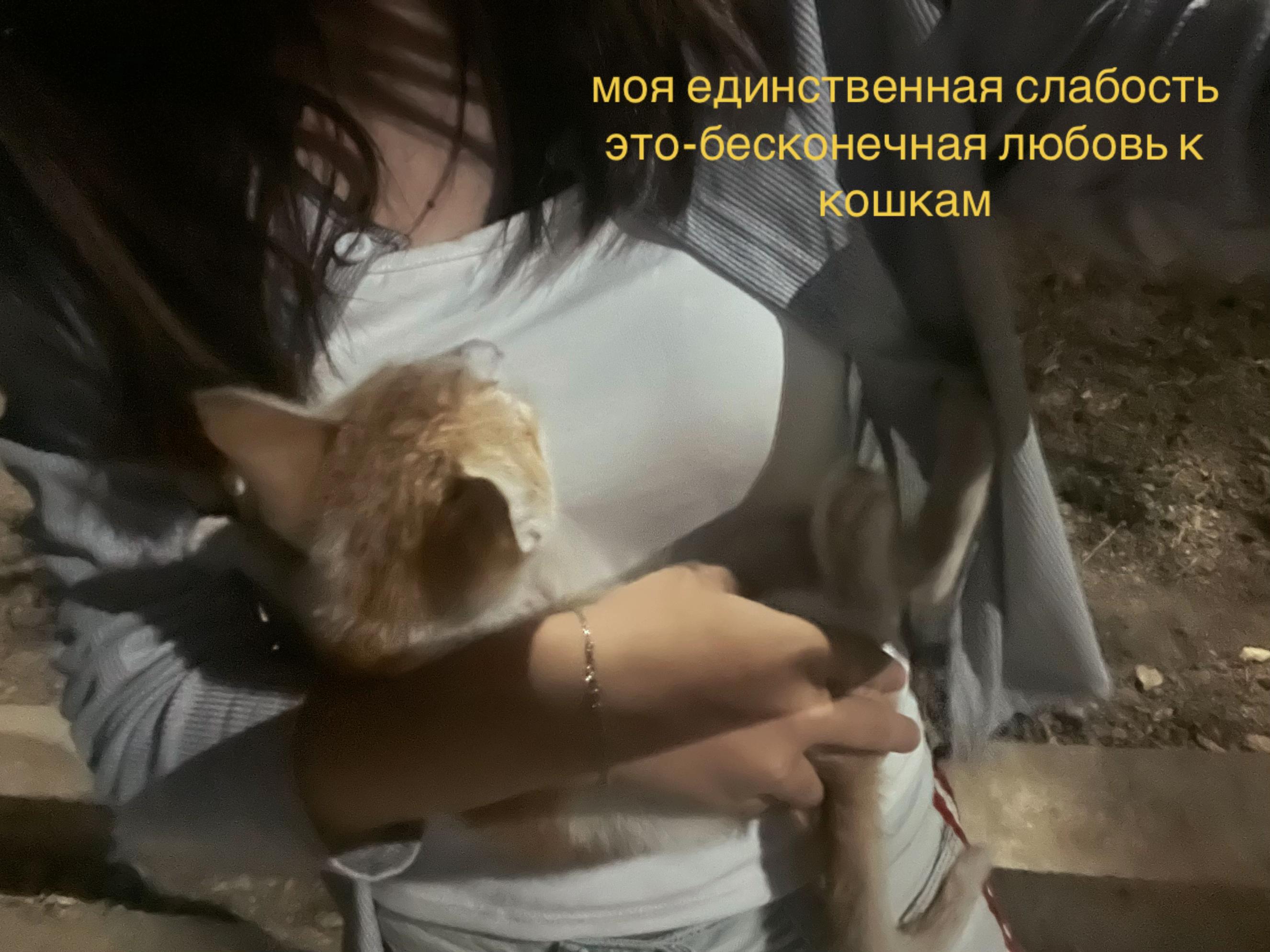 @madi🐈&zwj;⬛