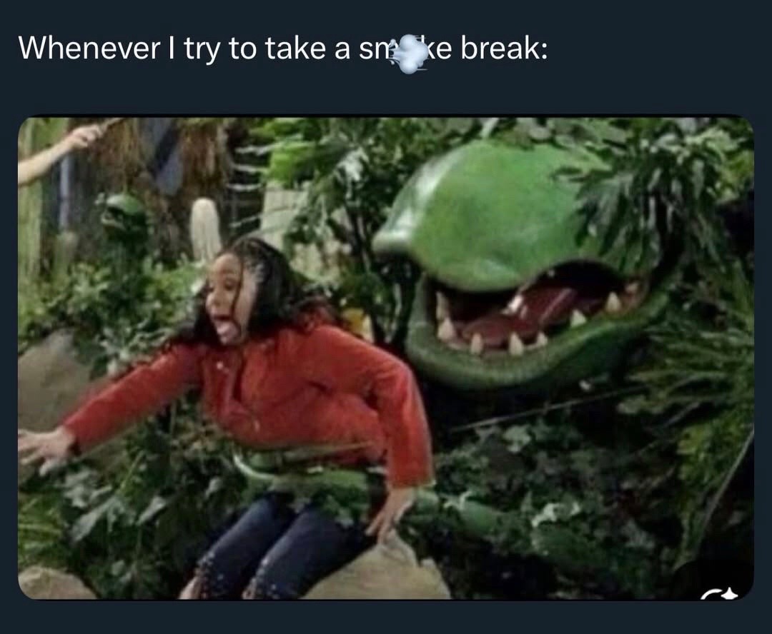 @Geekzilla
