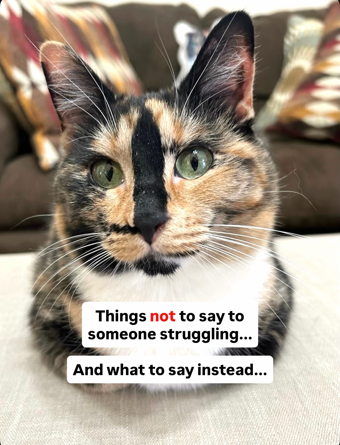 @SnickersTheSmilingCat