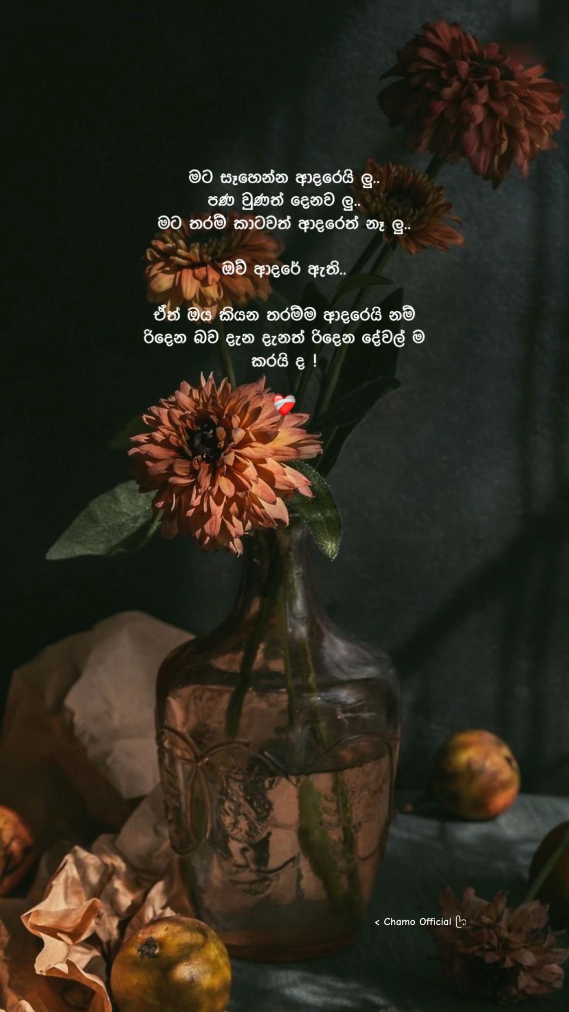 @< 𝐂𝐡𝐚𝐦𝐨 ᥫ᭡