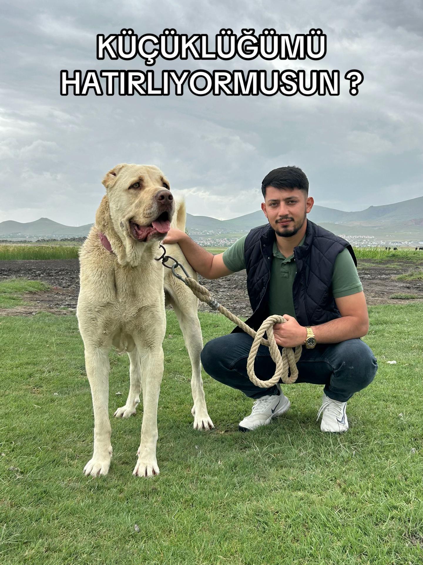 @Kadir alan
