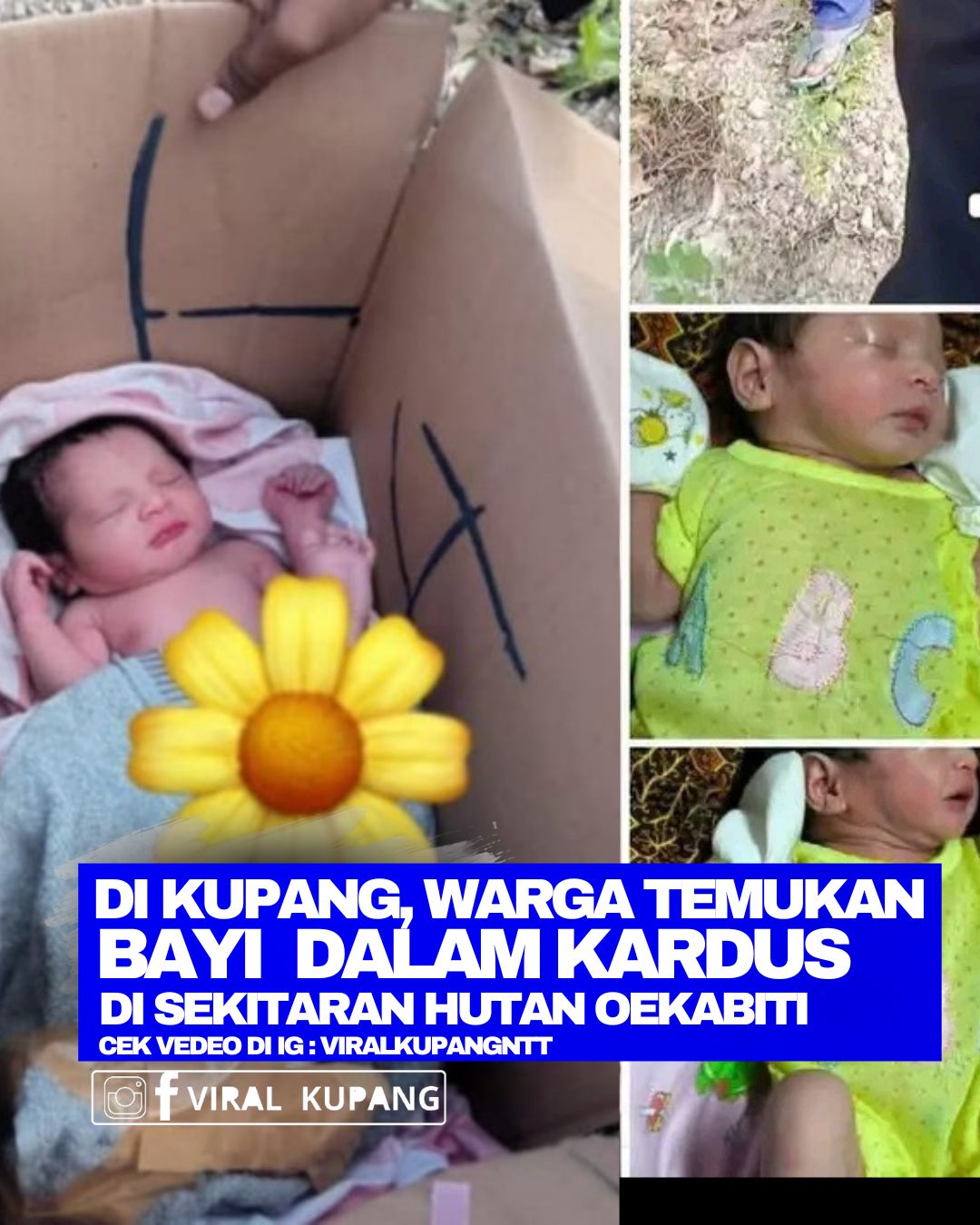 @Viral Kupang