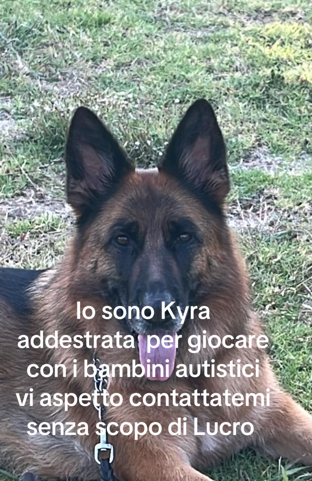 @luigibracciante