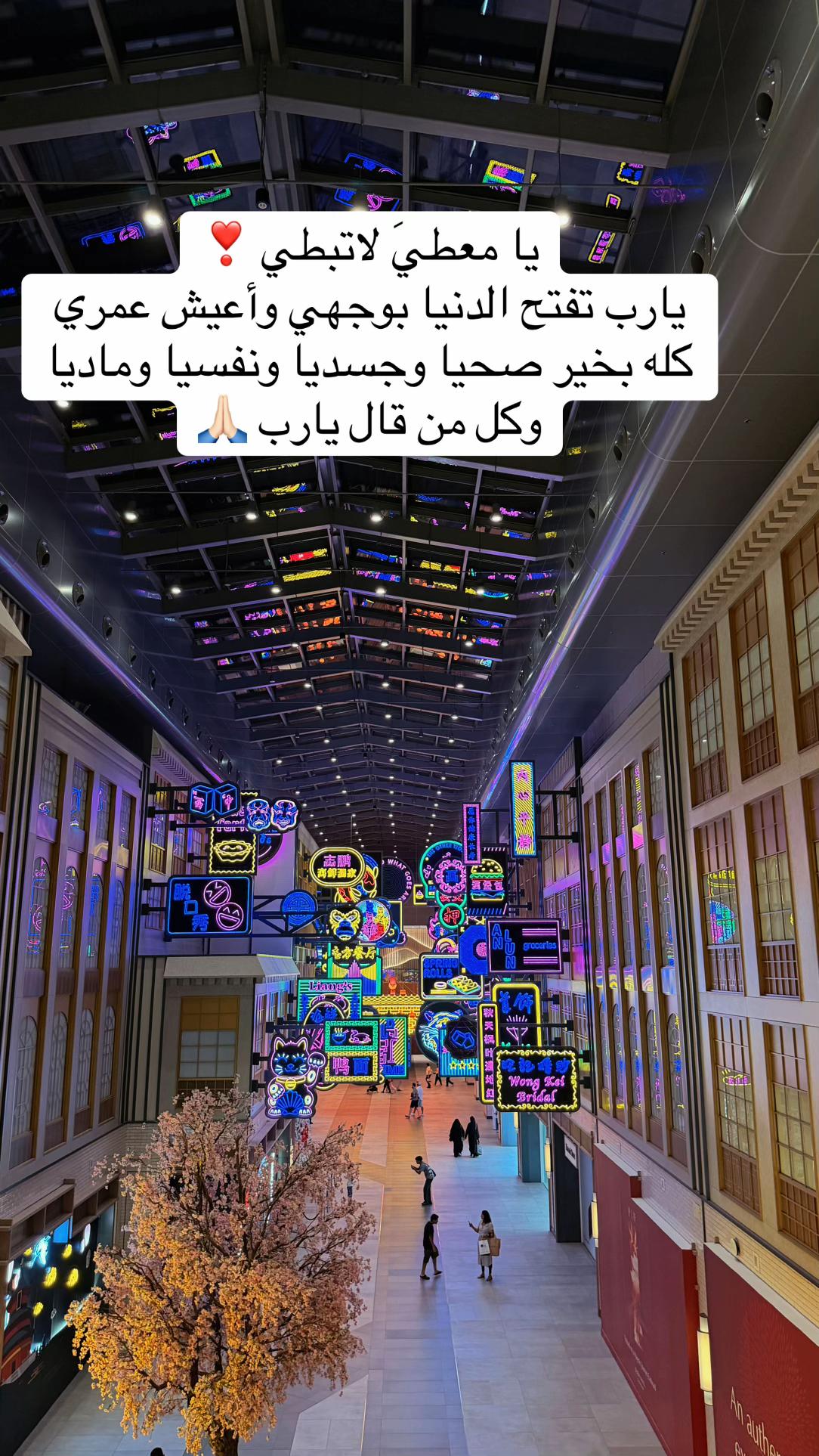 @🦋ن🦋