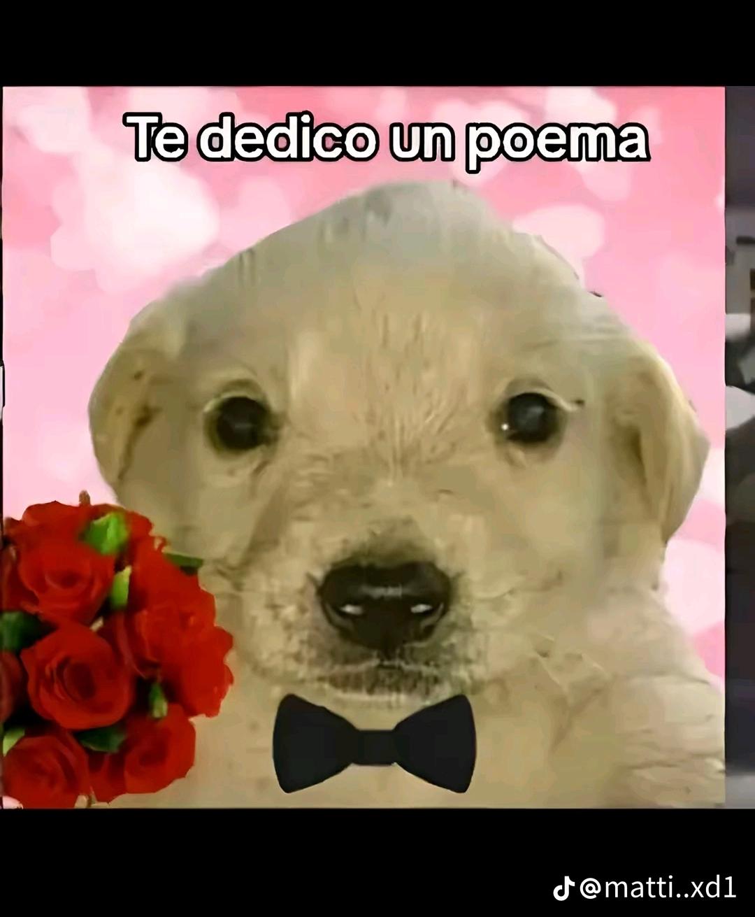 @HottingVd..TK📺
