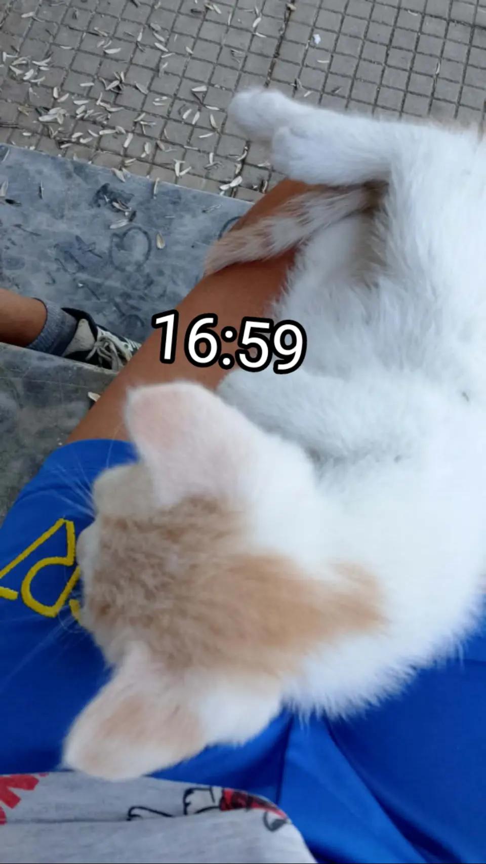 @Ŧ_Ř_Å_Ĵ_Ķ_Ø_V_Ş_Ķ_Ĩ🫡