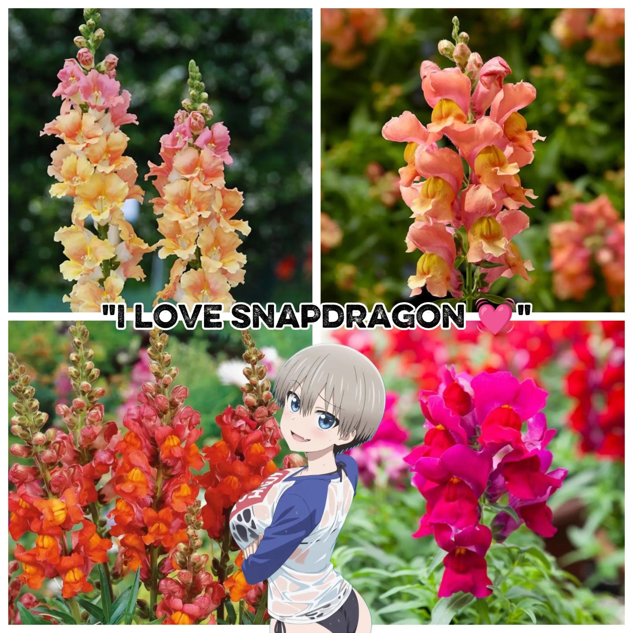@GV_Tech⛎