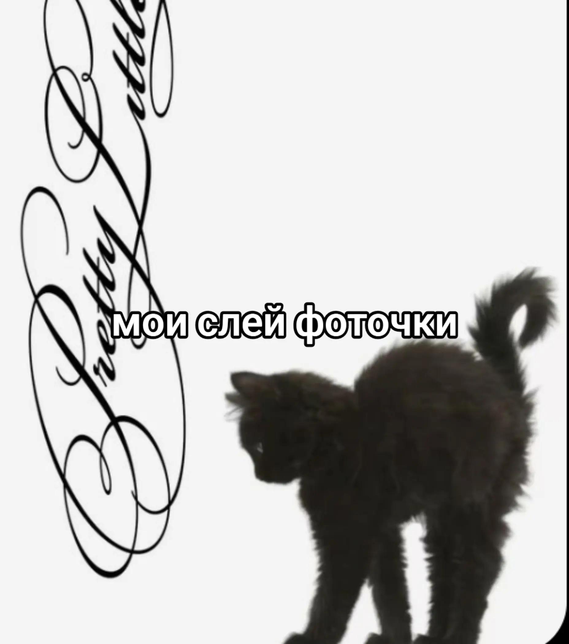 @Котяра