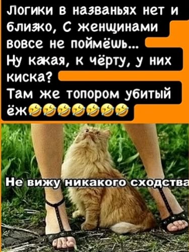 @goluboglazka_ya01