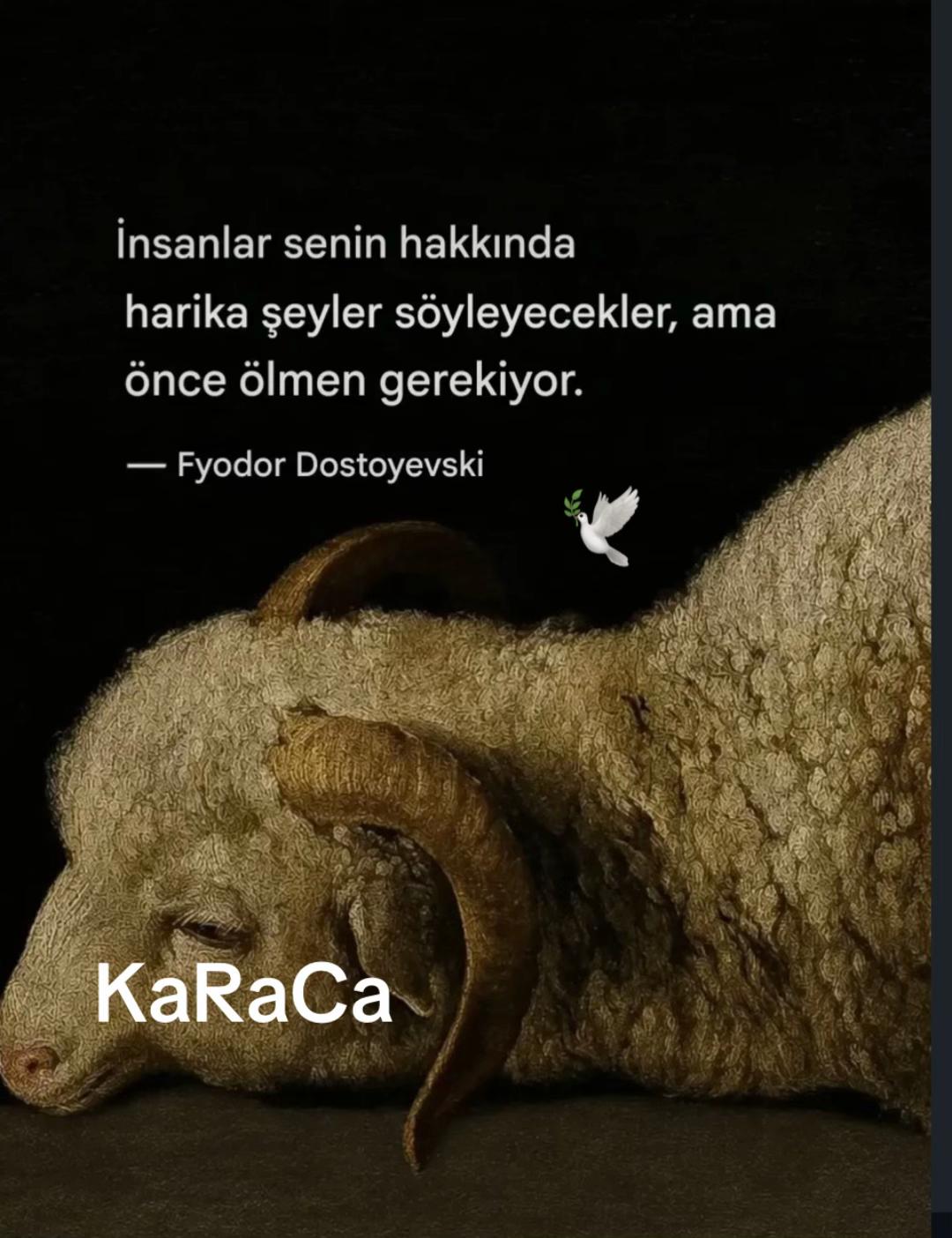 @KaRaCa