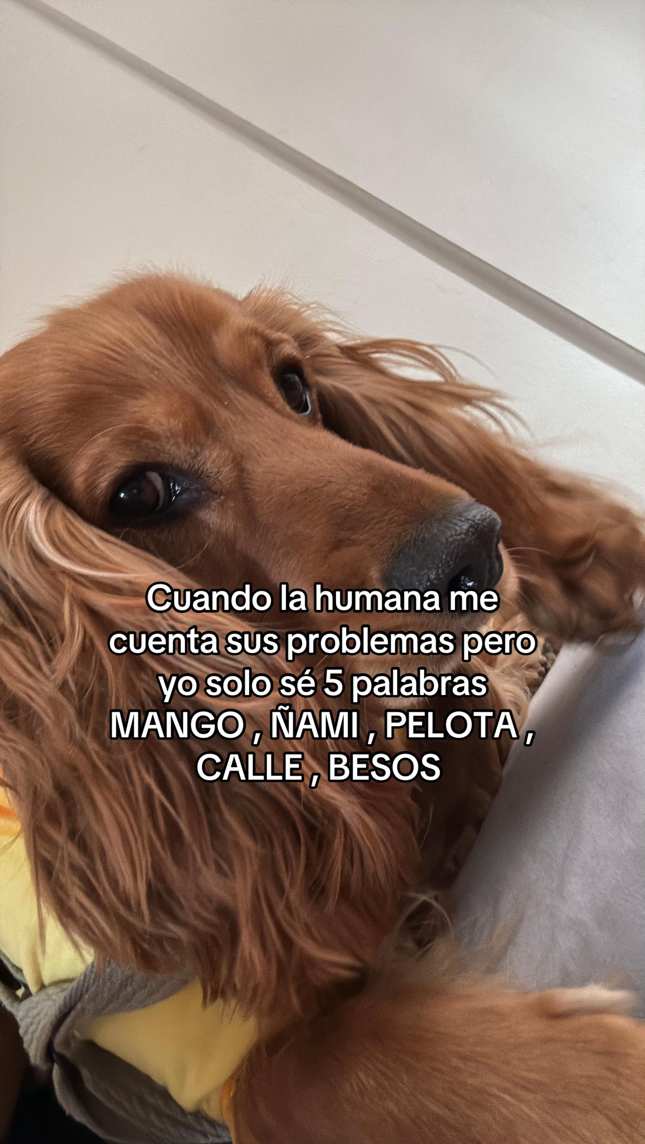 @Tatianna Cueva🩵