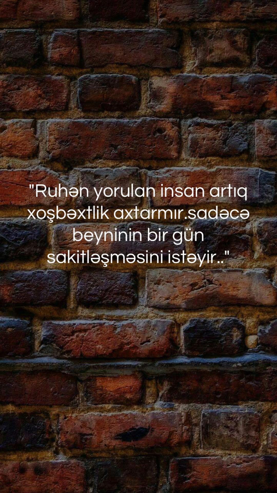 @musiqi_qidasi