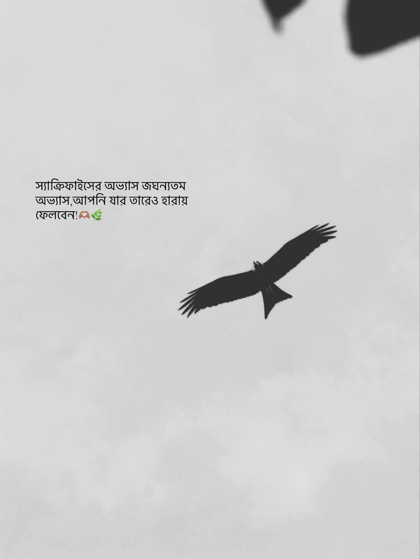 @বাক্য রচনা/ 📆