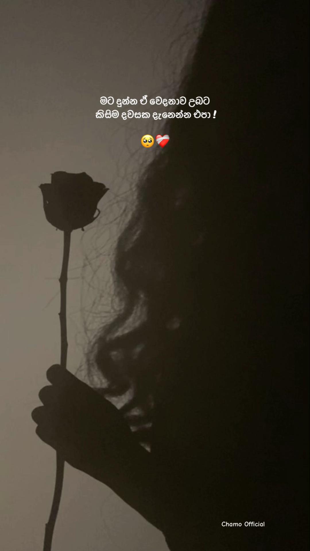 @< 𝐂𝐡𝐚𝐦𝐨 ᥫ᭡
