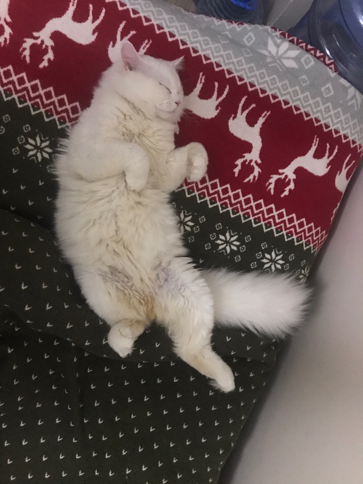 @Neşe