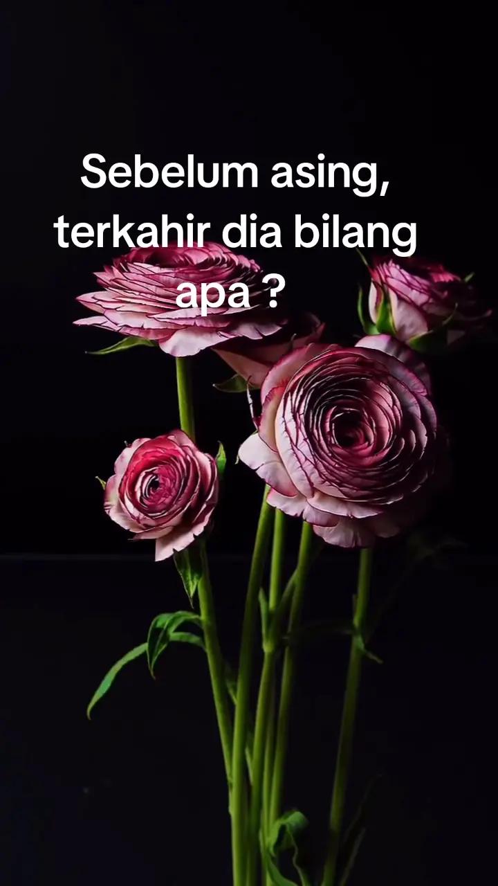 @void.soul