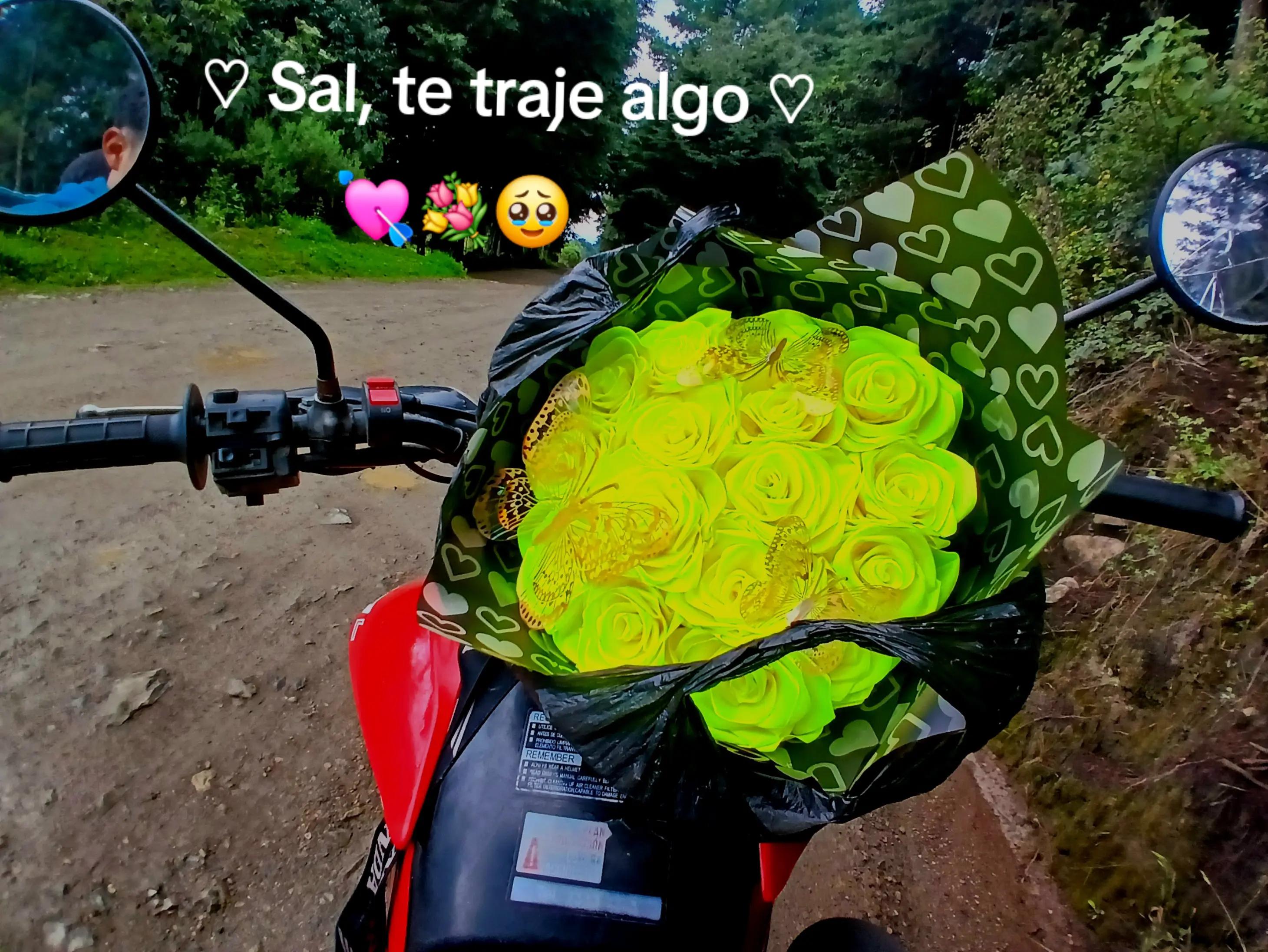 @☆*S̶e̶l̶v̶i̶n̶ P̶u̶. ♡ A ♡ ☆