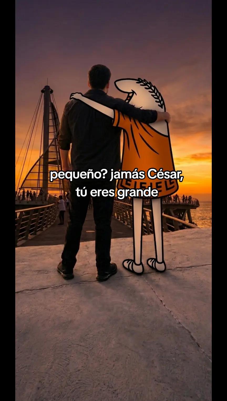 @eltorokun