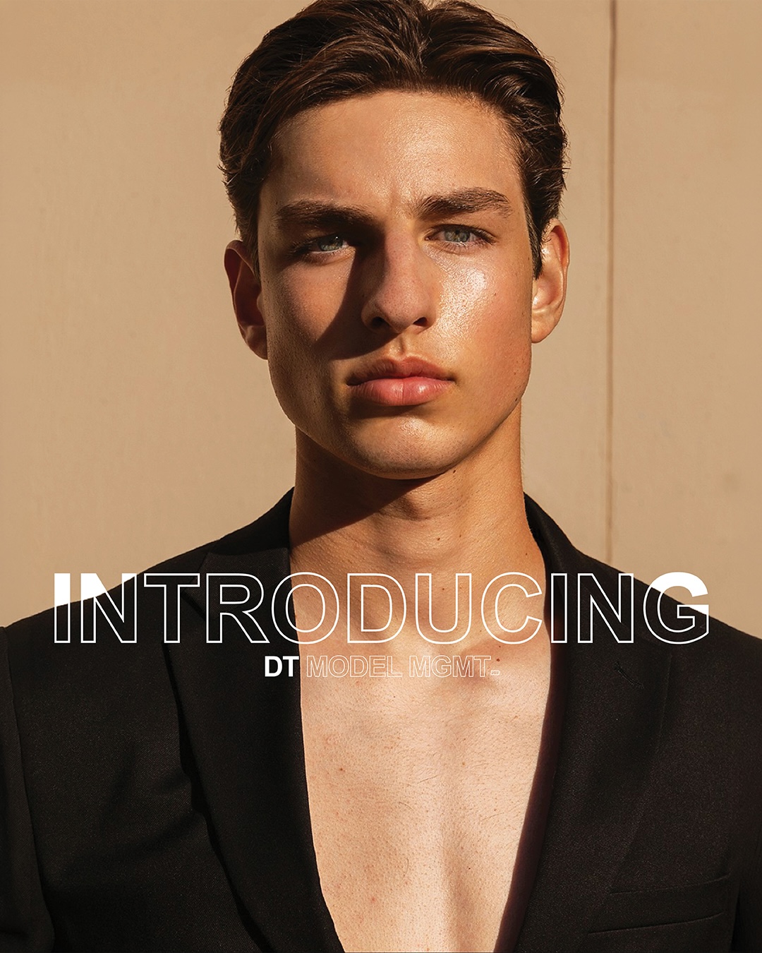 @DT Model Management