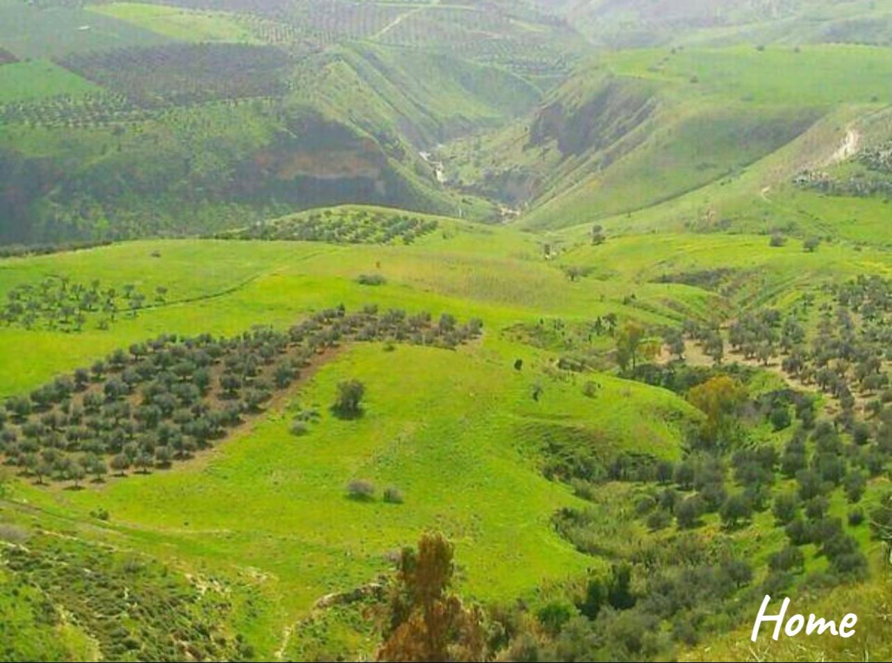 @Tareq Aldawoud