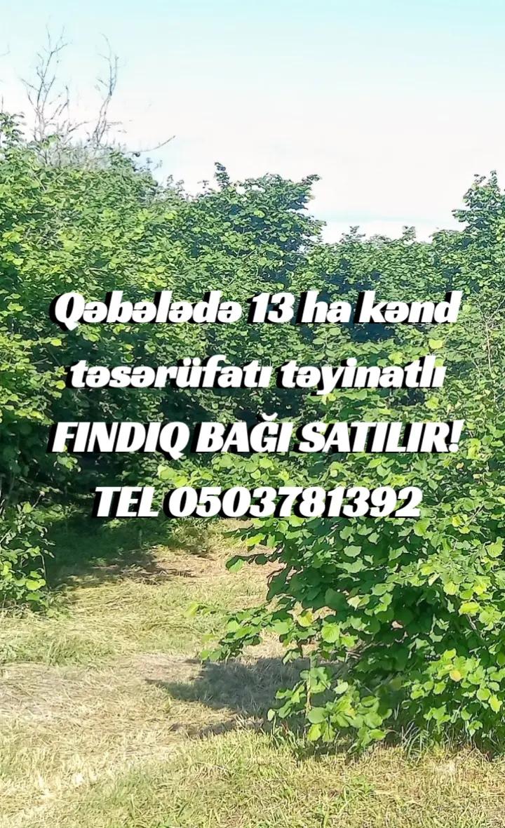@Torpaq.Əmlak.QƏBƏLƏ