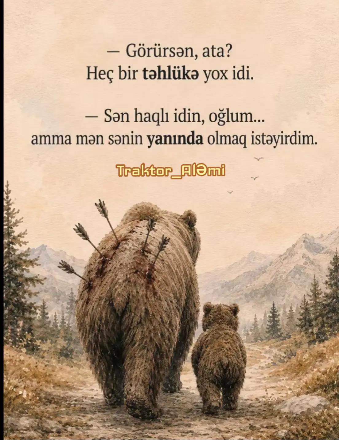 @Traktor_Aləmi