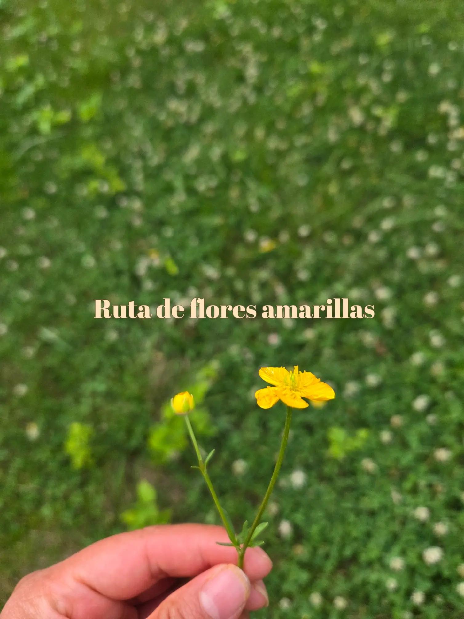 @Ruth🫀