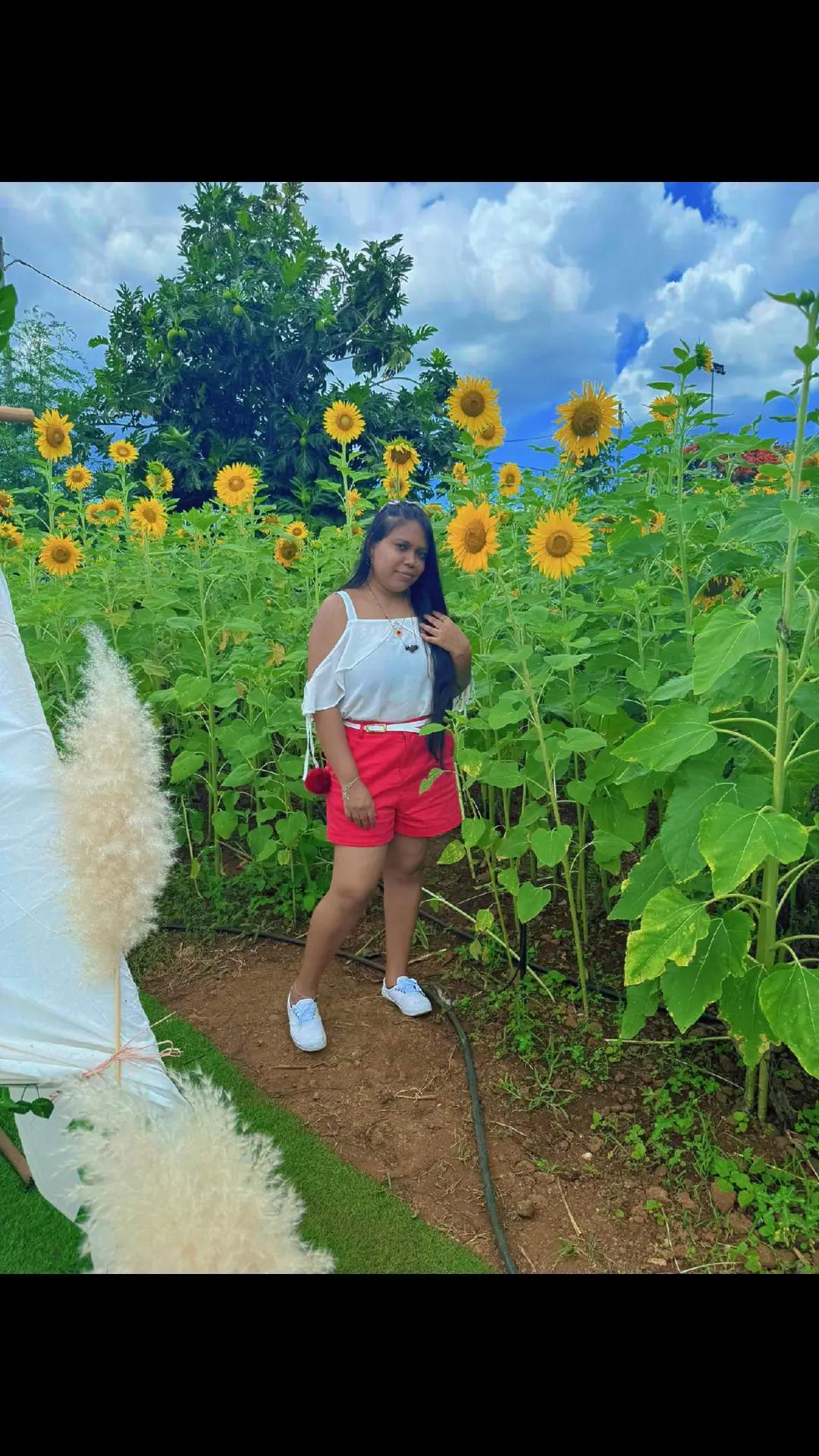 @ᵖ🐼ⁿᵈᵃˢᵗⁱᶜ ˢᵃⁿ🦋m ᵈʳ🌻ᵐᵃ ᵠᵘᵉᵉⁿ