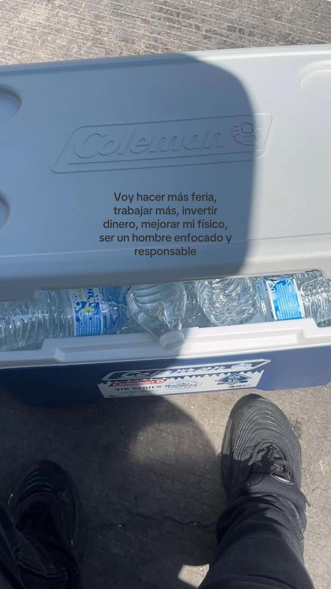 @Pollito_conpapasjaja